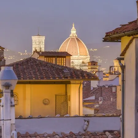 - Maggioterrace